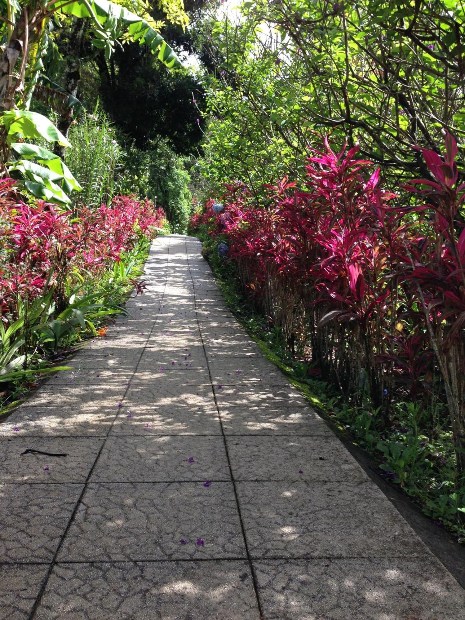 Elida Trails & Eco-Lodge Lodge Monteverde