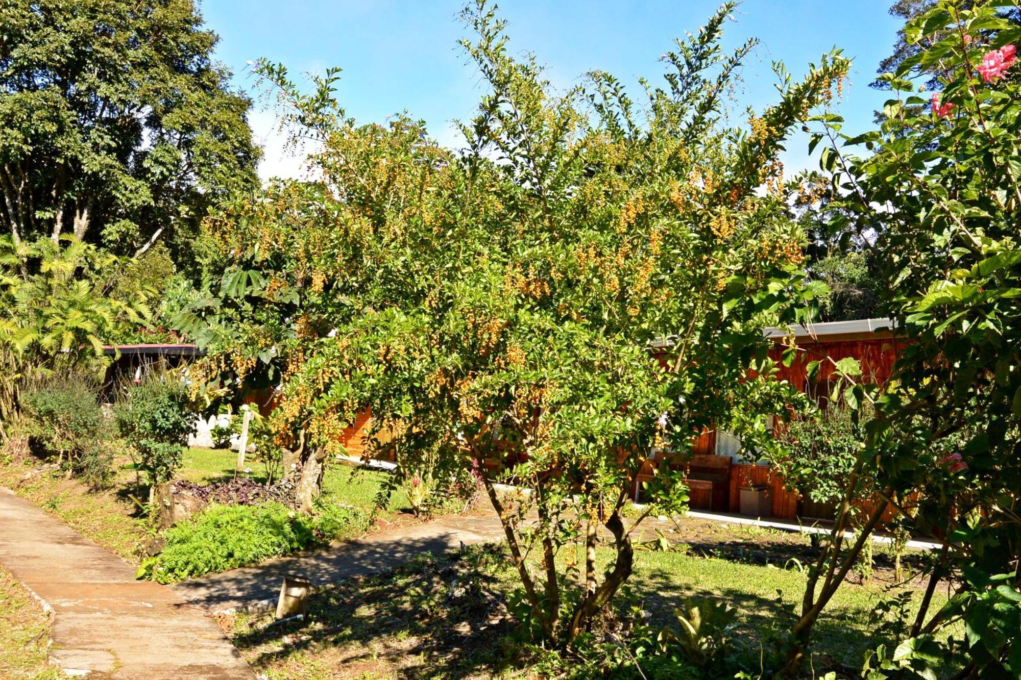 Elida Trails & Eco-Lodge *