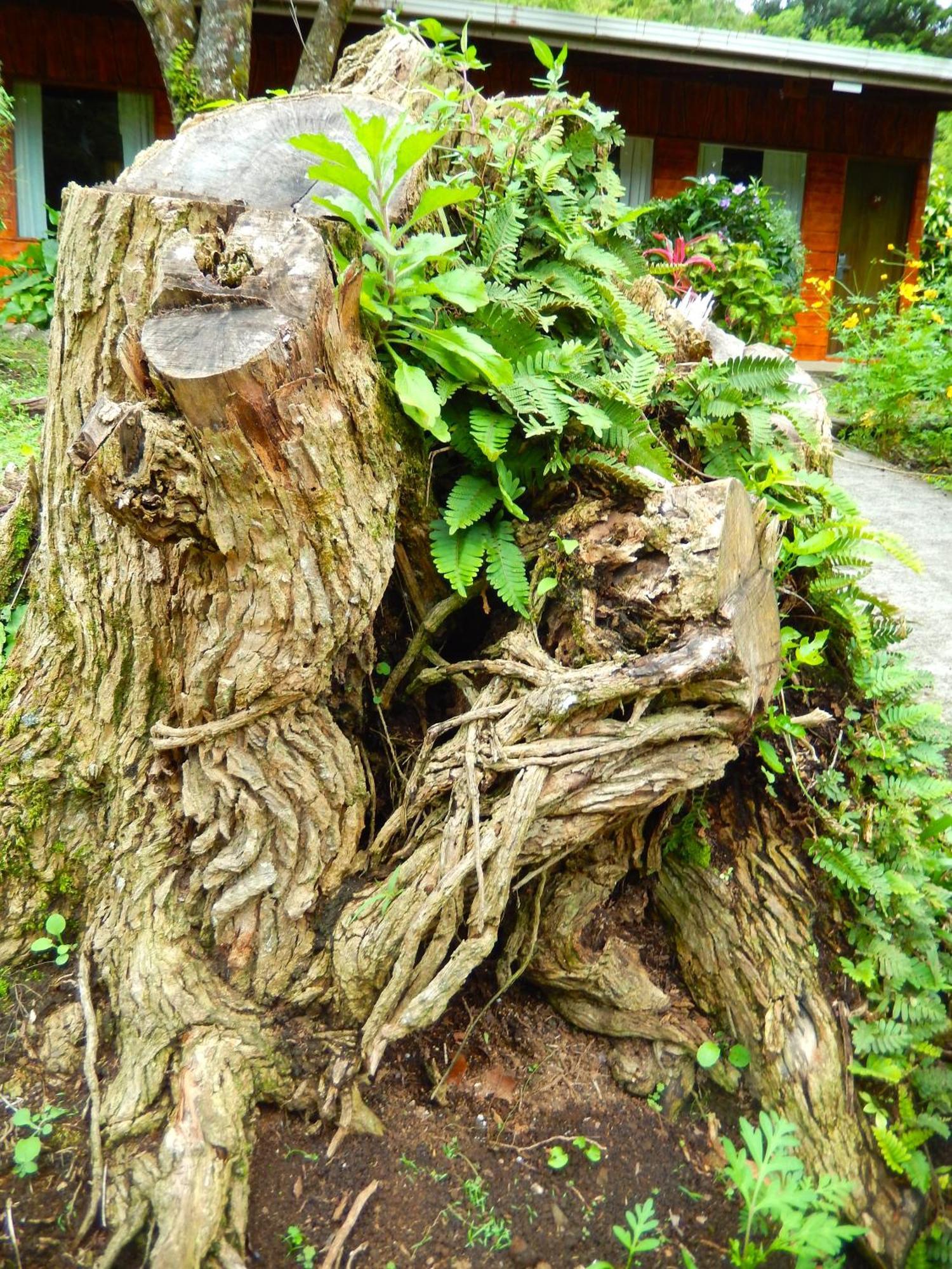 Elida Trails & Eco-Lodge